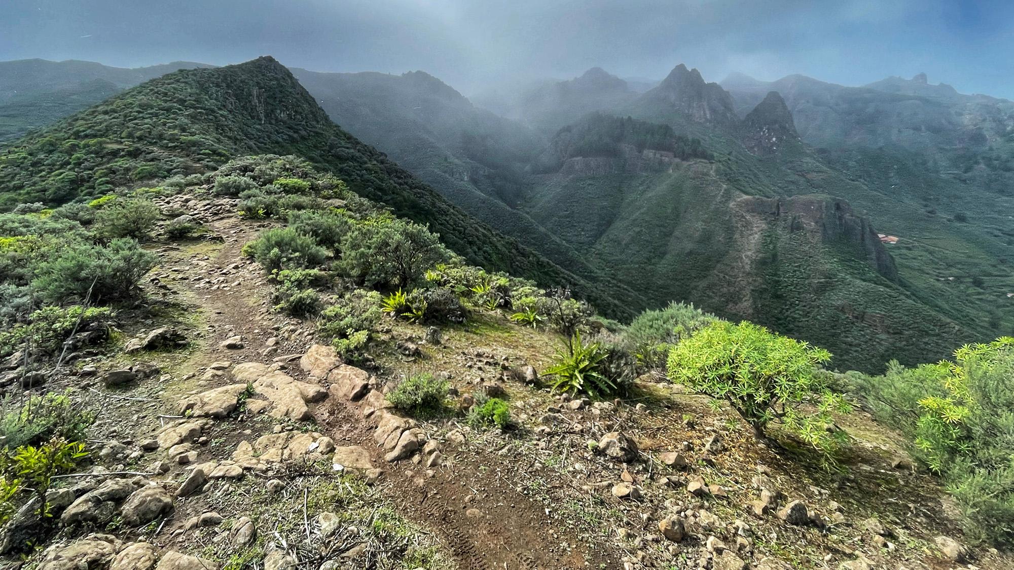 Los Alfaques Trail (Gran Canaria)