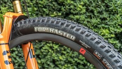 Test Maxxis Forecaster