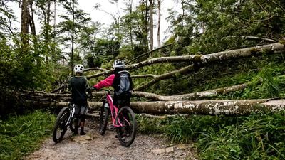 Uetliberg Zürich Triemli Bike Trail Antennentrail Sturm Schaden 2021