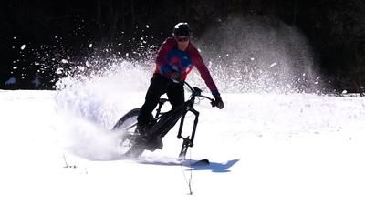 Fat Bike Ski Snow Mountainbike