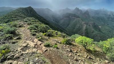 Los Alfaques Trail (Gran Canaria)